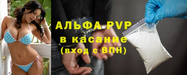 СК Арсеньев