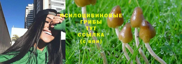 СК Арсеньев