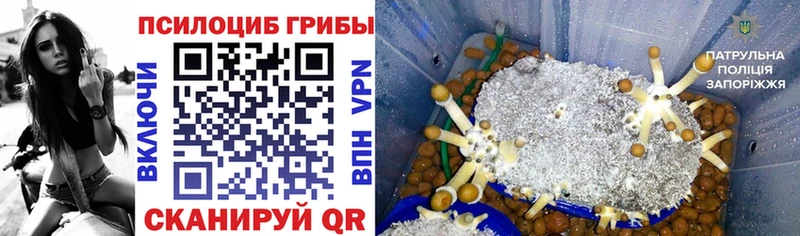 Галлюциногенные грибы Magic Shrooms  как найти   кракен ССЫЛКА  Спасск 
